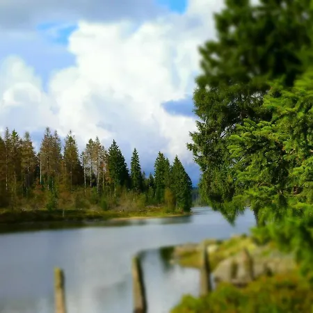 Apartment Platzhirsch Braunlage