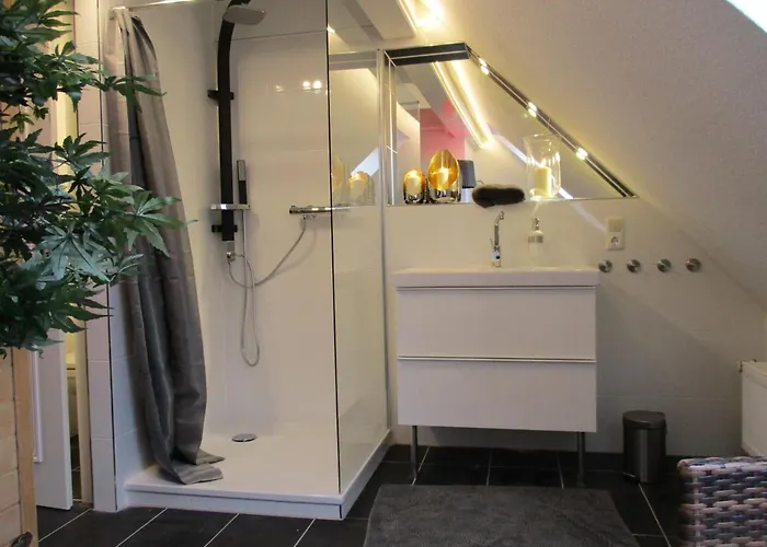 公寓 Platzhirsch 布劳恩拉格